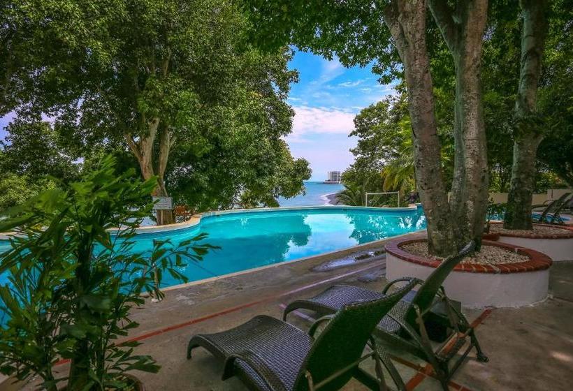 酒店 Coronado Luxury Club & Suites