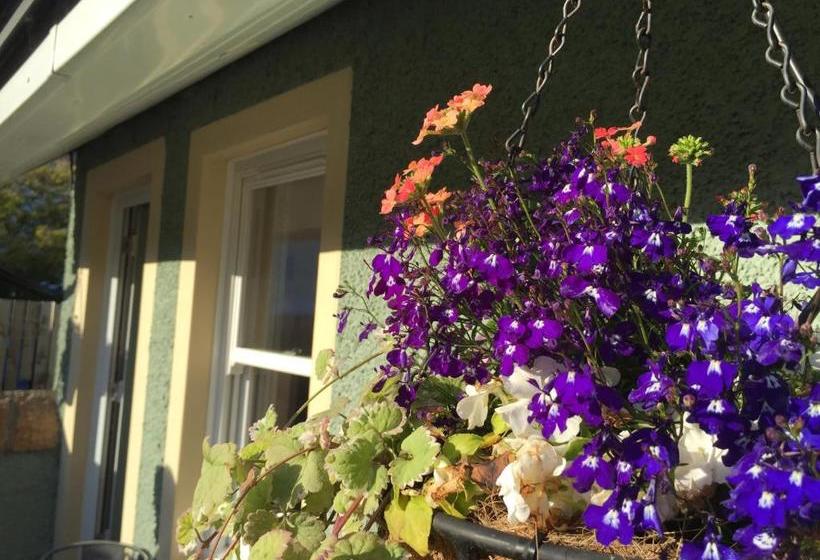 פנסיון Irvine Bay