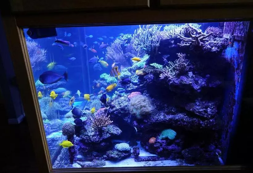 Majatalo Borthwnog Hall