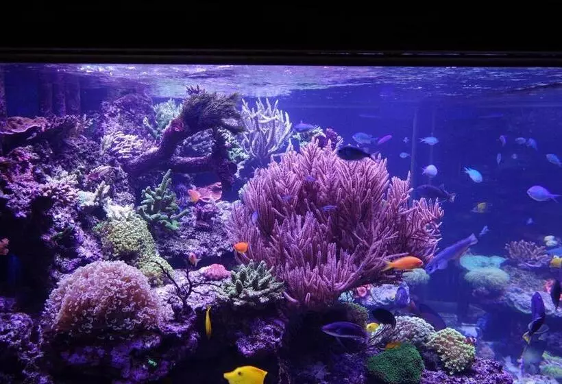 Majatalo Borthwnog Hall