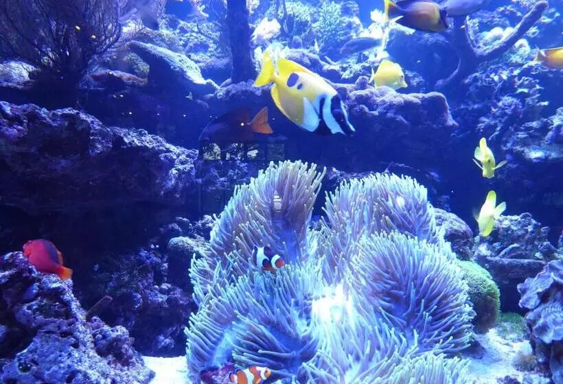 Majatalo Borthwnog Hall