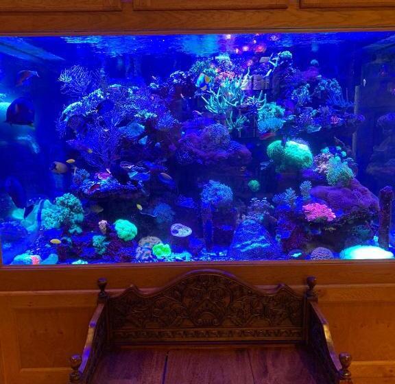 Pensione Borthwnog Hall