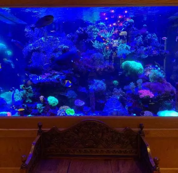 Majatalo Borthwnog Hall