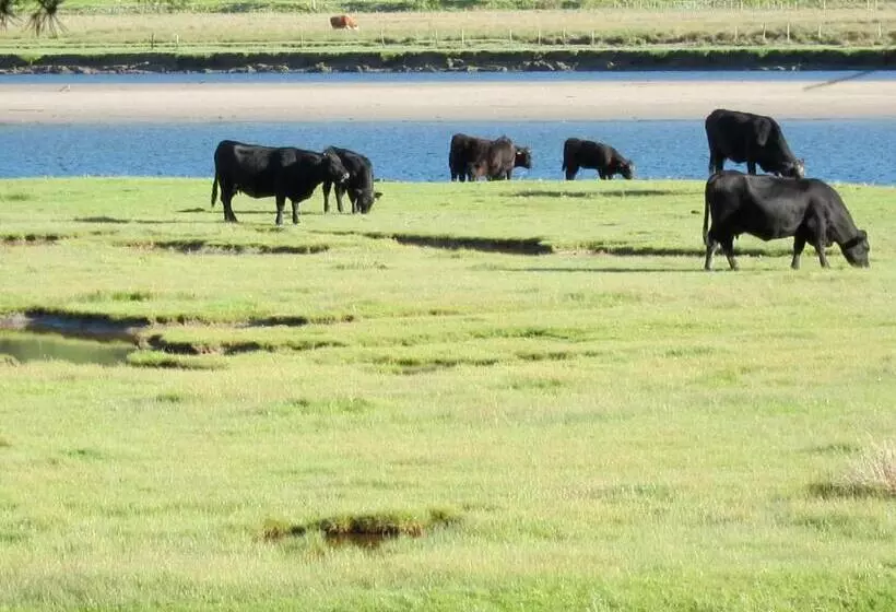 Majatalo Borthwnog Hall