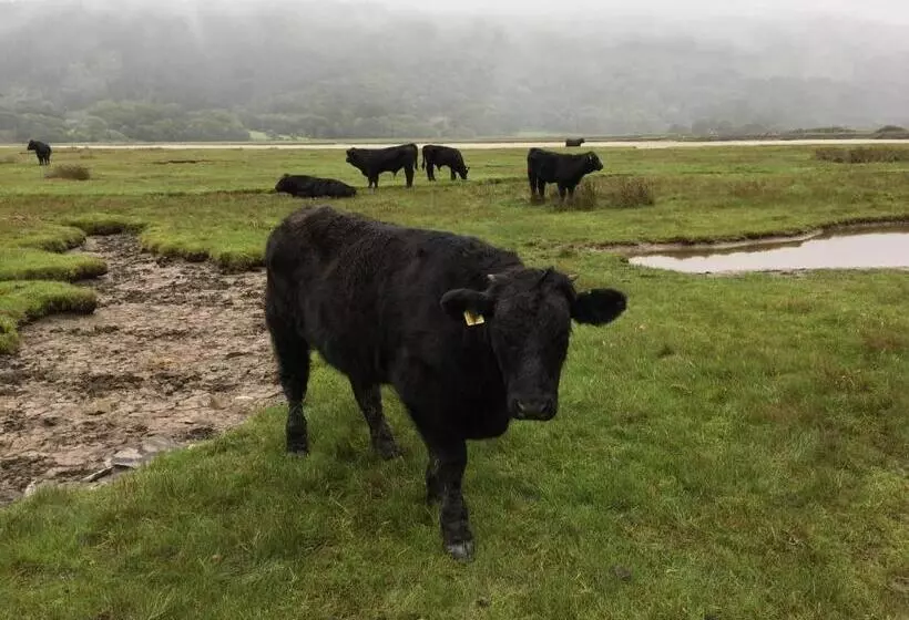 Majatalo Borthwnog Hall