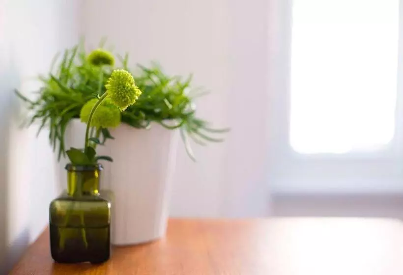 پانسیون Dog And Whistle Pub