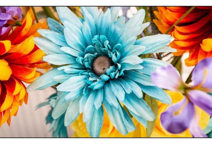 ペンション Pembroke Bed & Breakfast