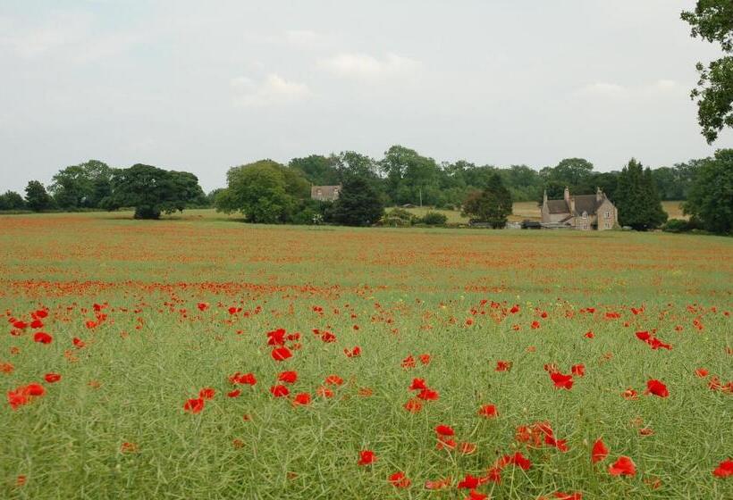 بنسيون Woodland Guesthouse