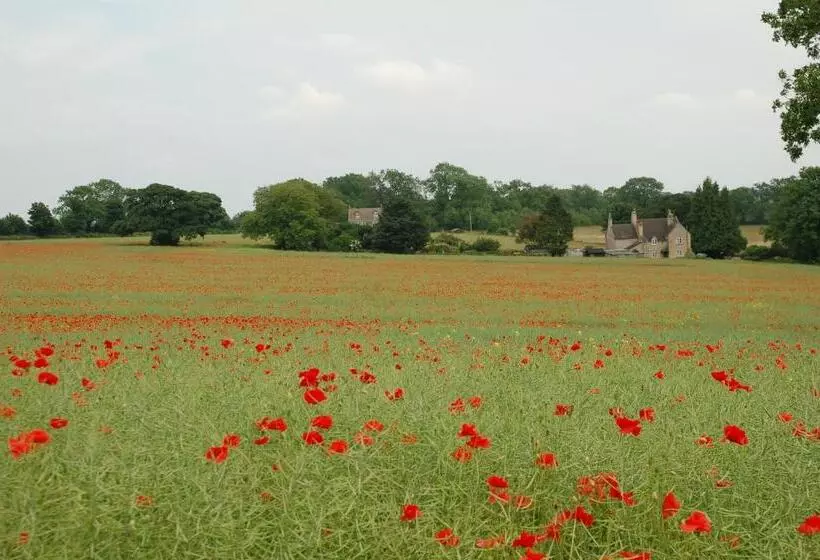 Majatalo Woodland Guesthouse