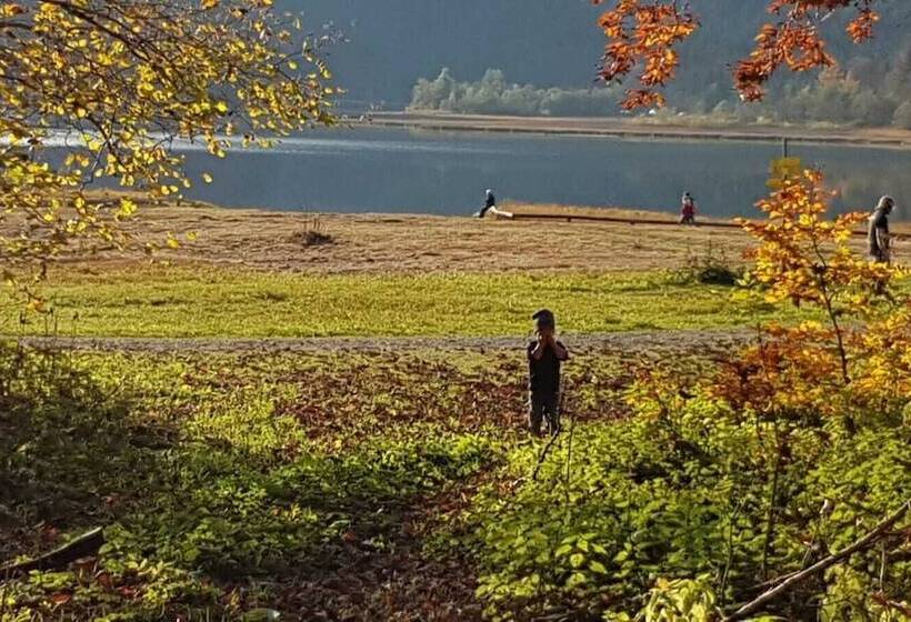 膳宿费 Steinberger Hof