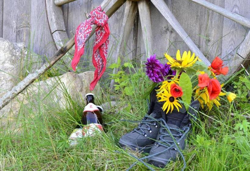 Pension Philippsreut Zum Pfenniggeiger Am Goldsteigwanderweg