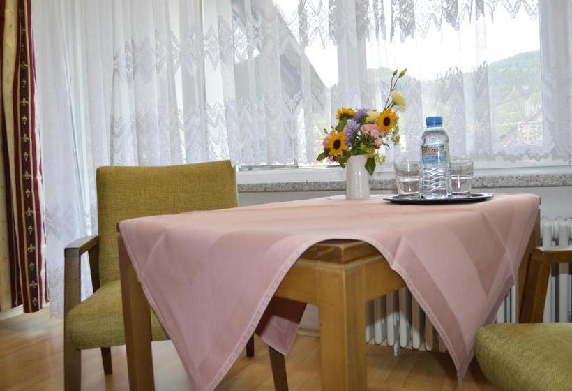 Pansiyon Gasthaus Hirsch