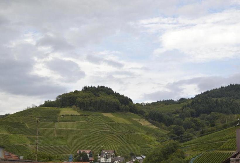 Pansiyon Gasthaus Hirsch