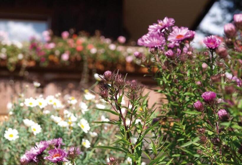 펜션 Haus Bernhardt Fromm