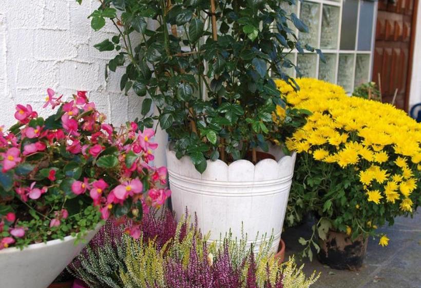 펜션 Haus Bernhardt Fromm