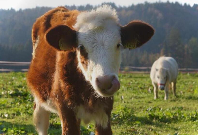 Hotel Gästehaus Herbstbauernhof