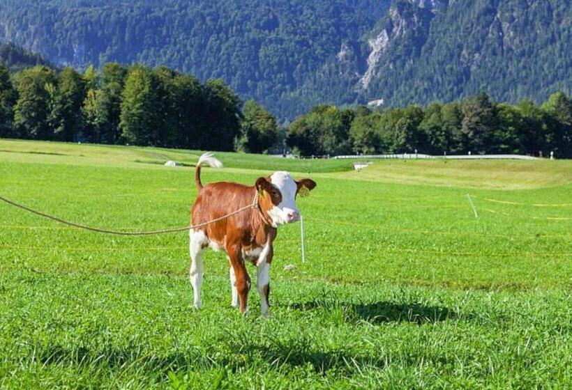 فندق Triembachhof