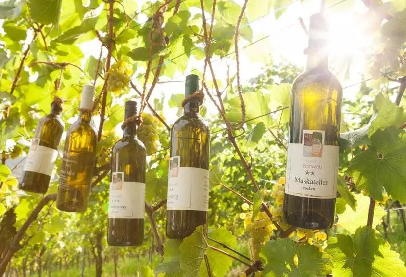 Retkeilymaja Vinotel Heinz J. Schwab