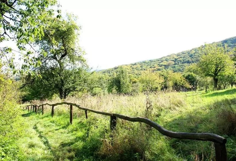 Retkeilymaja Burghof Kyffhäuser