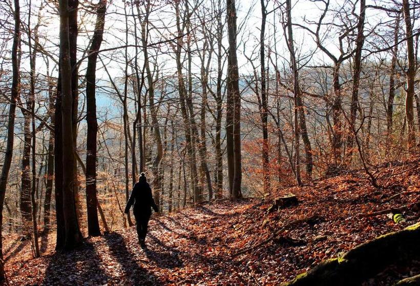 旅馆 Burghof Kyffhäuser