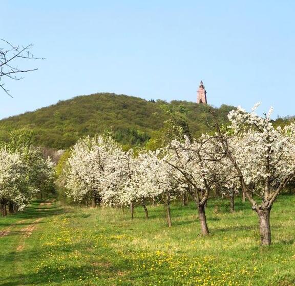 旅馆 Burghof Kyffhäuser
