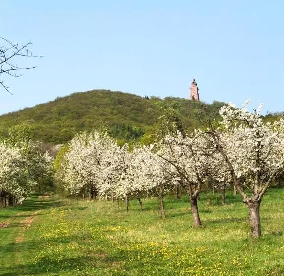 Retkeilymaja Burghof Kyffhäuser