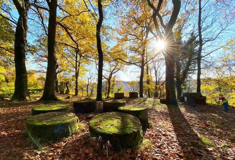 旅馆 Burghof Kyffhäuser