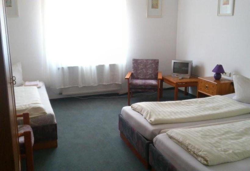 Общежитие Landgasthof Grüner Baum