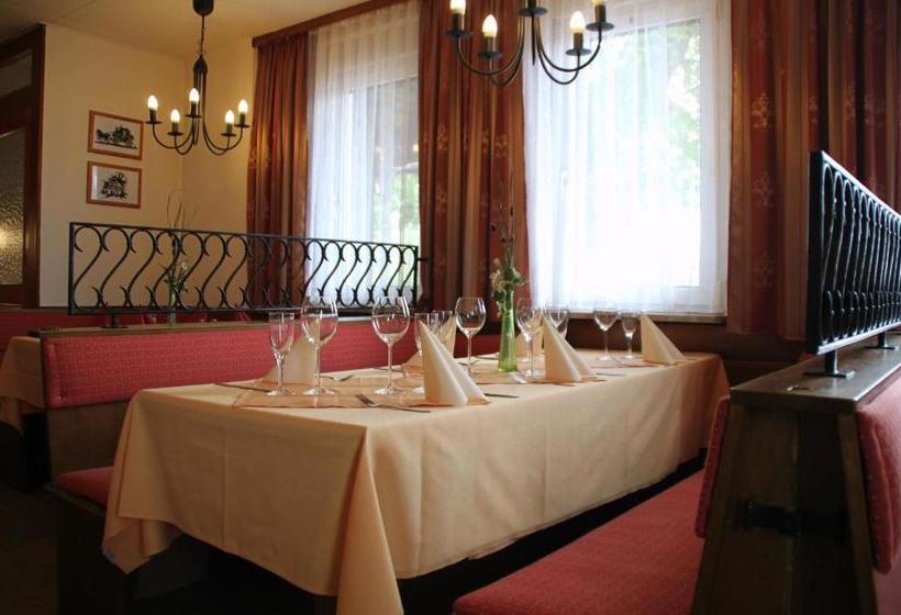 Общежитие Landgasthof Grüner Baum