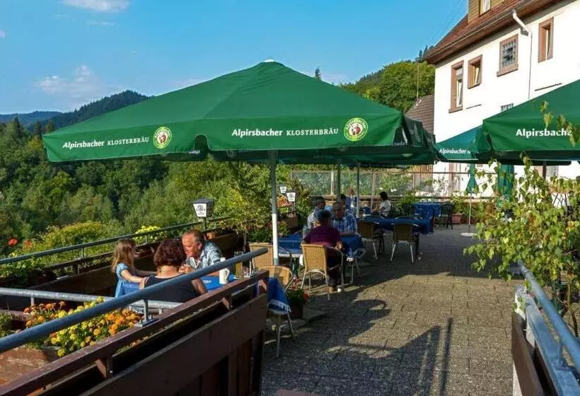 ユースホステル Landgasthof Pension Ochsen