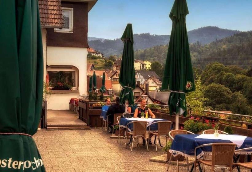 Общежитие Landgasthof Pension Ochsen