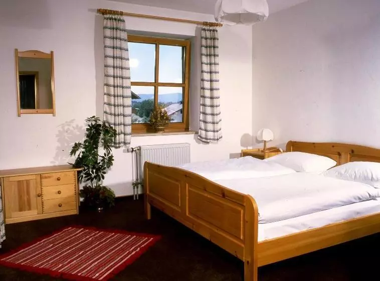 Aparthotel Zwiesel