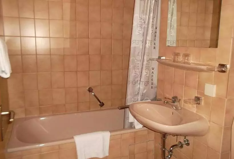 Aparthotel Zwiesel