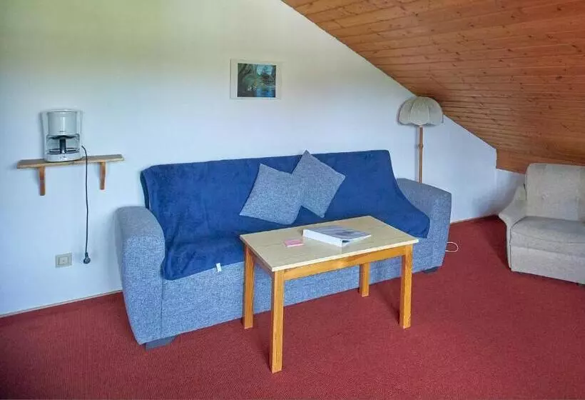 Aparthotel Zwiesel