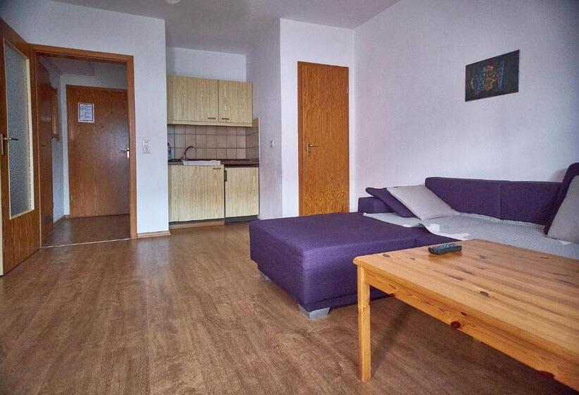 Aparthotel Zwiesel