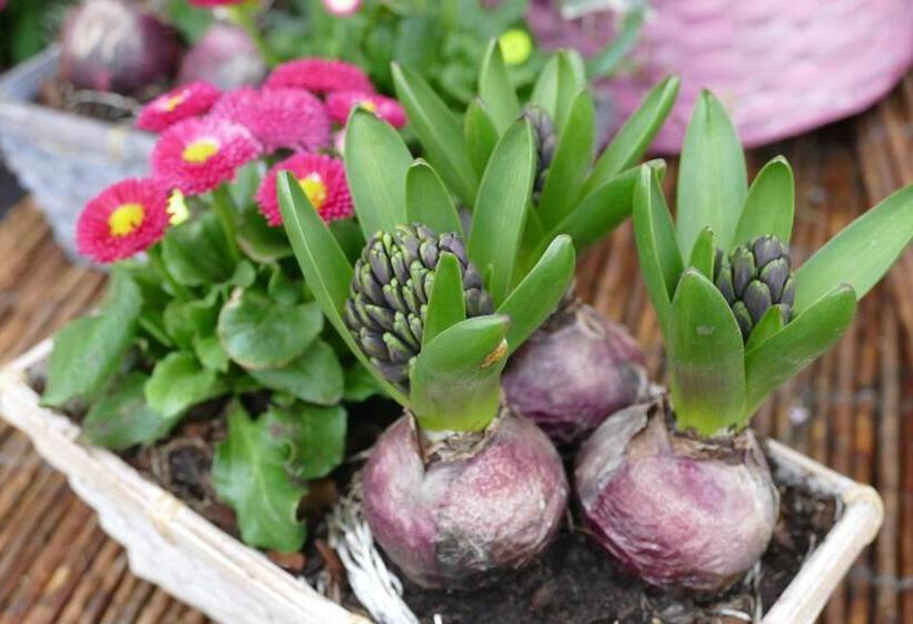 בית מלון כפרי Natur Aktiv Hof Thiem