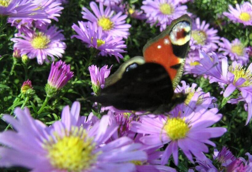 בית מלון כפרי Natur Aktiv Hof Thiem