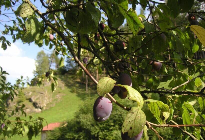 בית מלון כפרי Natur Aktiv Hof Thiem