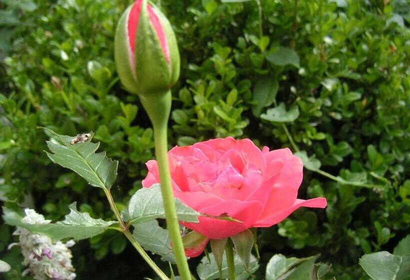 בית מלון כפרי Natur Aktiv Hof Thiem