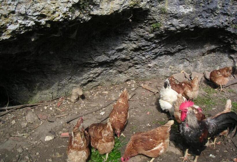 בית מלון כפרי Natur Aktiv Hof Thiem