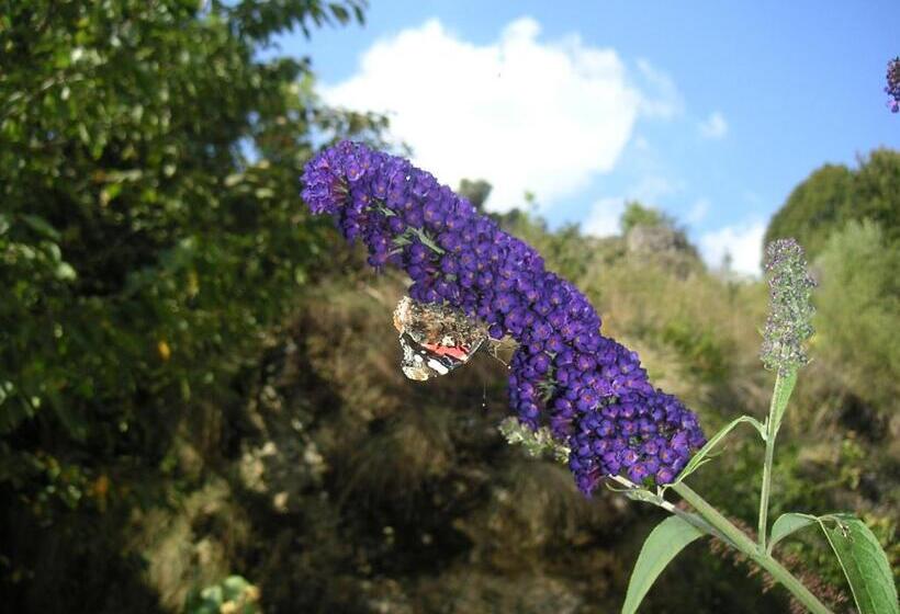 בית מלון כפרי Natur Aktiv Hof Thiem