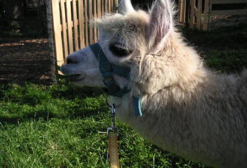 בית מלון כפרי Natur Aktiv Hof Thiem