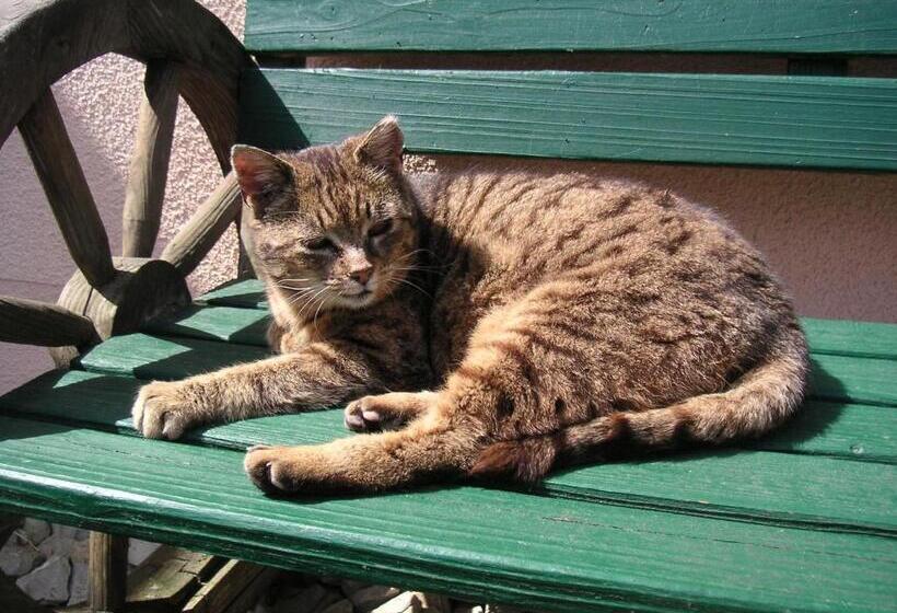 בית מלון כפרי Natur Aktiv Hof Thiem