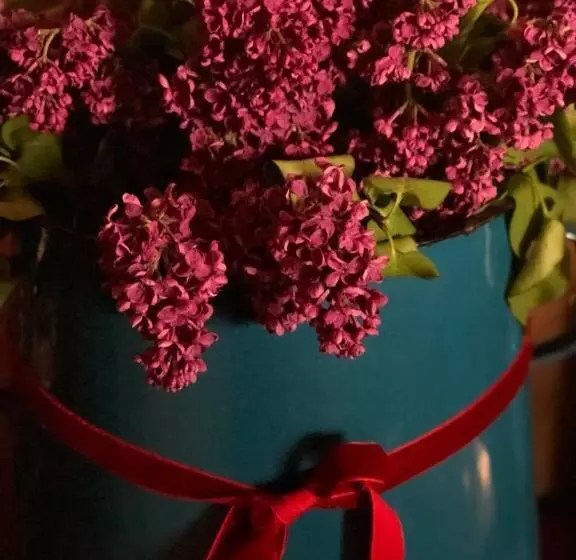 ペンション Altes Handelshaus Plauen