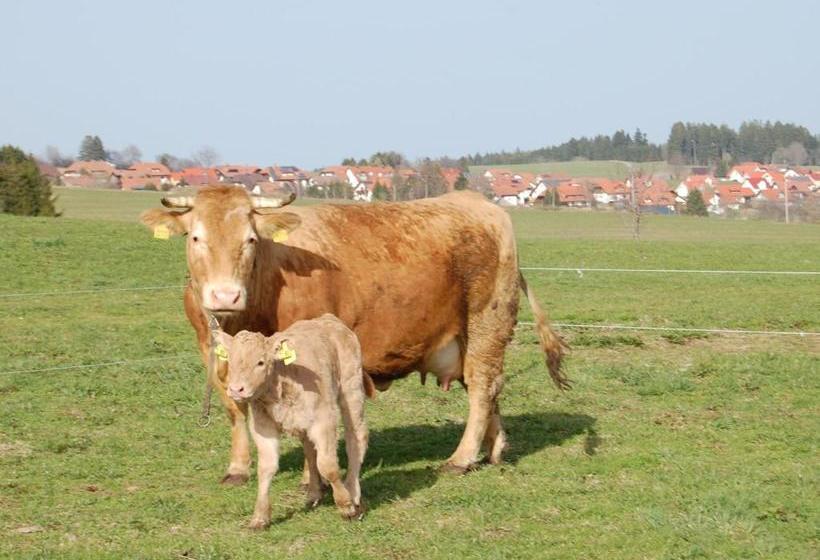 Пансион Landgasthaus Engel   Naturparkwirt