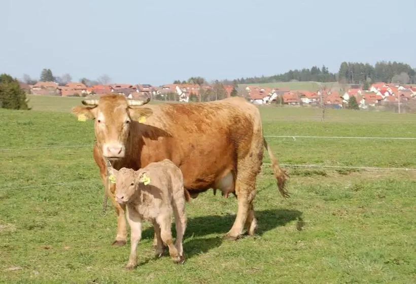 ペンション Landgasthaus Engel   Naturparkwirt
