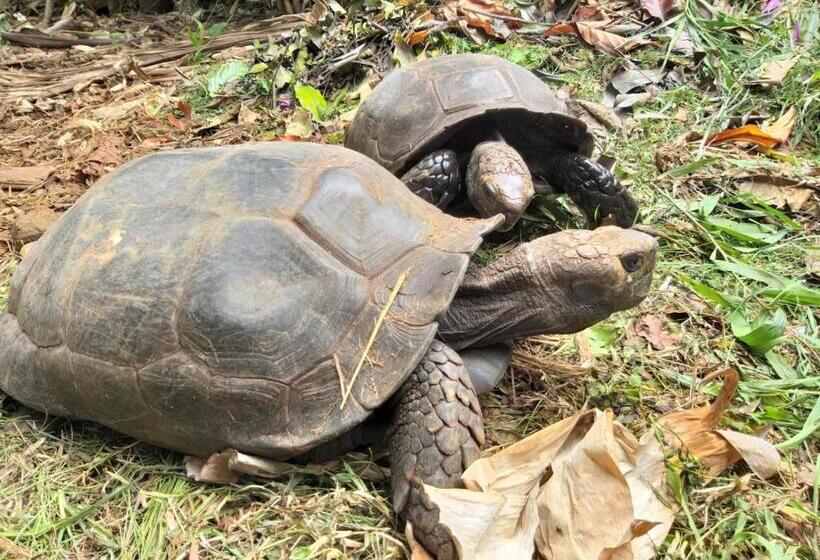 Пансион Villa Manouria Marcel