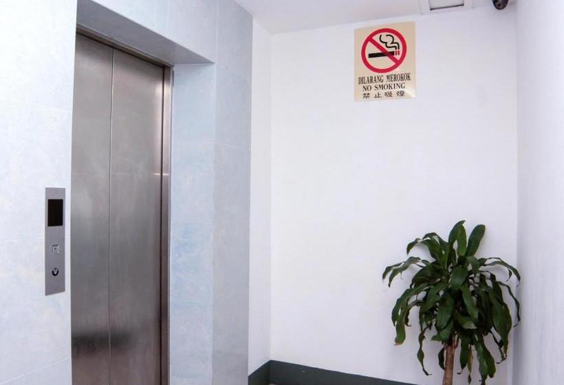 Общежитие Lehdo Inn