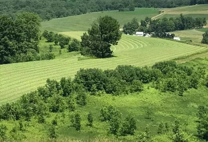 Hotelli Carlisle Inn Walnut Creek