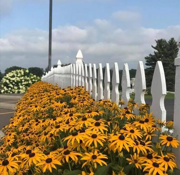 Szálloda Carlisle Inn Walnut Creek